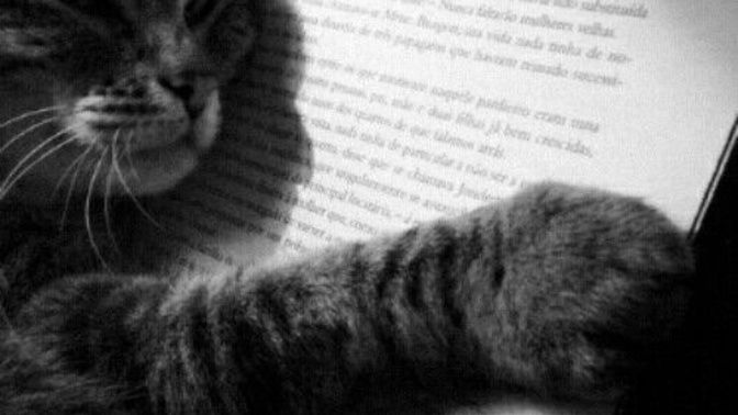 Kafanızı dağıtmakta en etkili olan kitap türü hangisi?