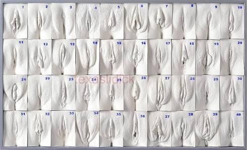 Erkekler favori vajina şekliniz nasıl?