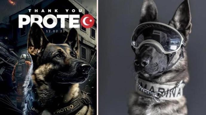 Meksika yardım ekibiyle gelen köpek Proteonun heykeli İstanbula dikilecek. Düşünceli bir davranış değil mi?