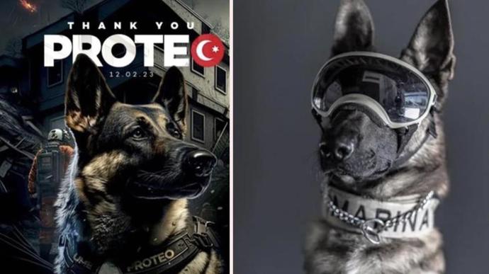 Arama kurtarma köpeği Proteo’nun heykeli İstanbul’a dikilecekmiş. Güzel bir haber ama siz de neden İstanbul dediniz mi?