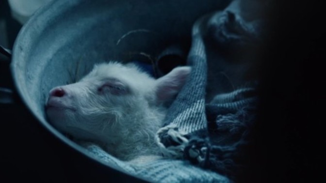 Lamb kuzu filmini izlediniz mi?
