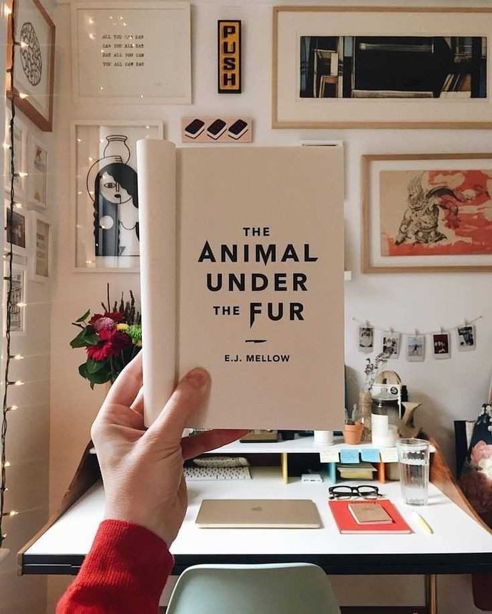 Kitap yarışmalarına katıldınız mı hiç?