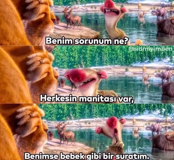 Herkesin sevgilisi var benim niye yok?