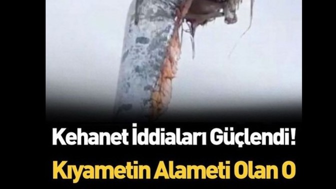 Ay galiba dünyanın sonu geldi yeraltı canavarı?