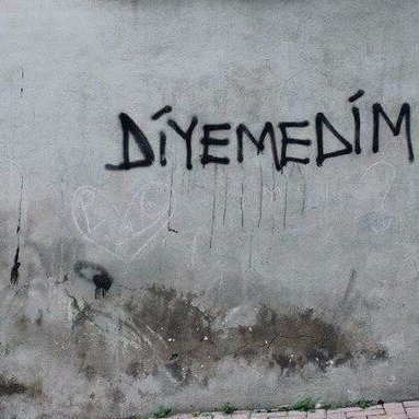 Diyemedim dediğiniz neler var?