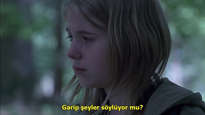 The woodsman filmini izlediniz mi?