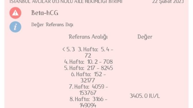 Gebelik için test yaptırdım ama anlamadım yardımcı olur musunuz?