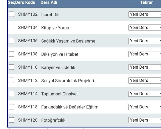 Hangi seçmeli dersi seçmeliyim?