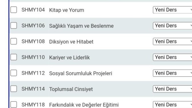 Hangi seçmeli dersi seçmeliyim?