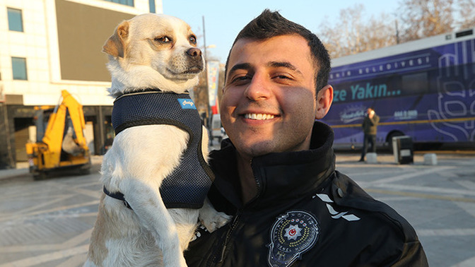 Deprem bölgesindeki "Afitap" isimli köpeği çevik kuvvet sahiplenmiş. Köpek benden daha iyi poz vermiş diyenler burada mı?