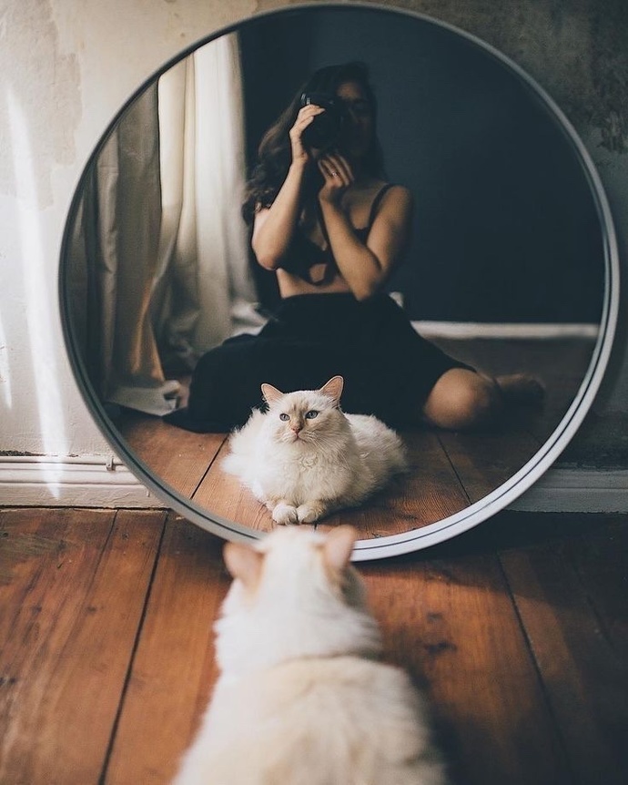 En son neyin ya da kimin fotoğrafını çektiniz?