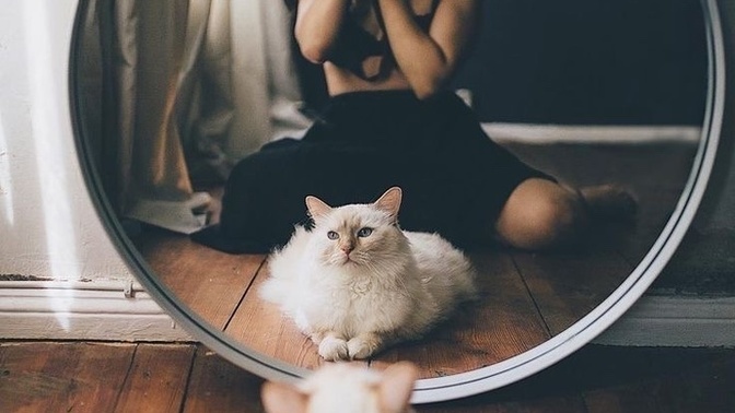 En son neyin ya da kimin fotoğrafını çektiniz?