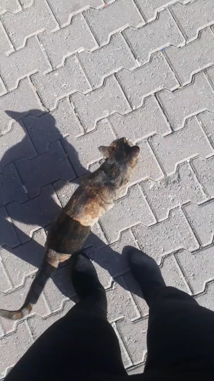 Mutsuz hissettiğinizde ne yaparsınız?