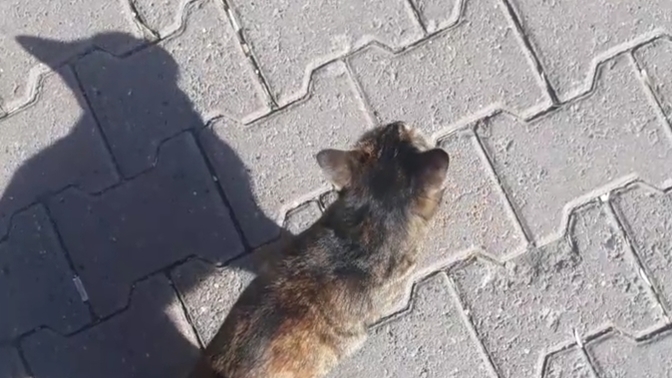 Mutsuz hissettiğinizde ne yaparsınız?