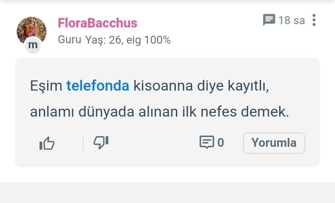 Kendinizin uydurduğu kelimeler ve manalı anlamı var mı?