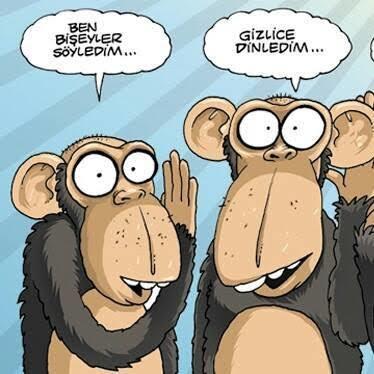 Dedikodu sever misiniz 😃?