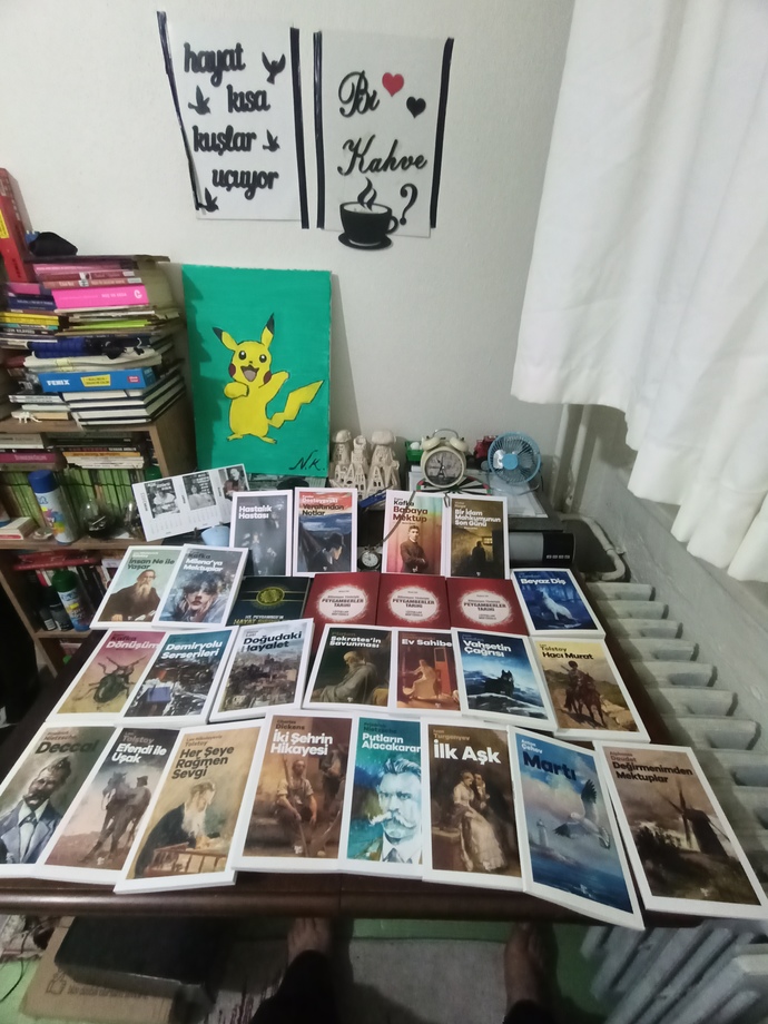 Yeni kitaplarım geldi okumaya hangisinden başlamalıyım?