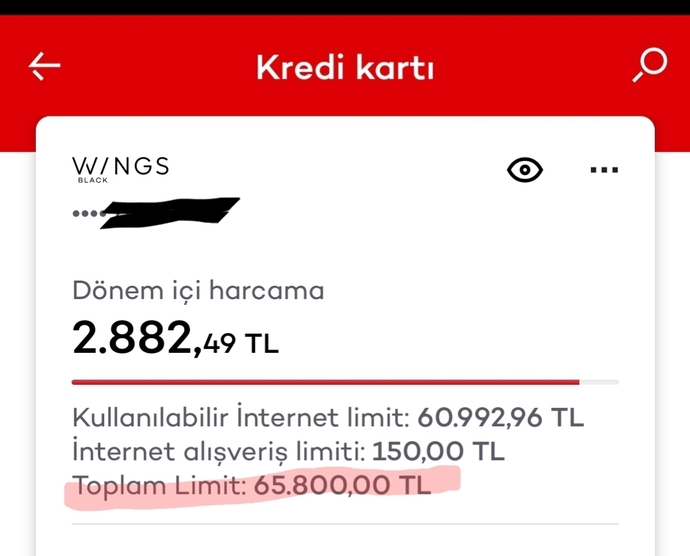 Türkiyede Kızlar hangi tür erkek sever?