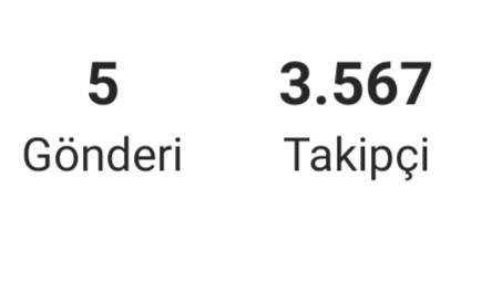 Instagramda kaç takipçin var?