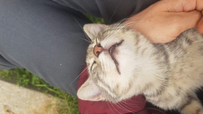 Uyurken izlediğiniz biri var mı?