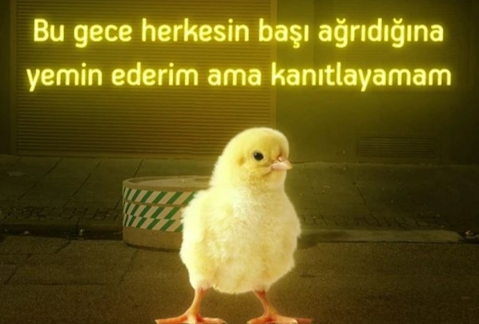 Cinsellik yaşamamak için bir bahane bulmanız gerekseydi siz nasıl bir bahane bulurdunuz?