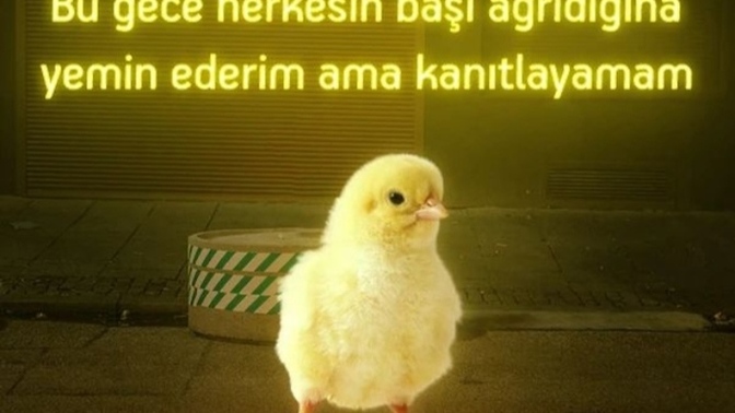 Cinsellik yaşamamak için bir bahane bulmanız gerekseydi siz nasıl bir bahane bulurdunuz?