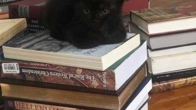 Alacağınız kitabın sayfa sayısına dikkat eder misiniz?