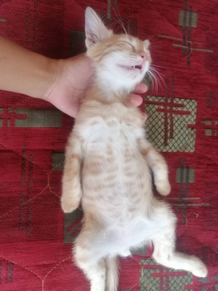 Böyle bir yatış olabilir mi ya?