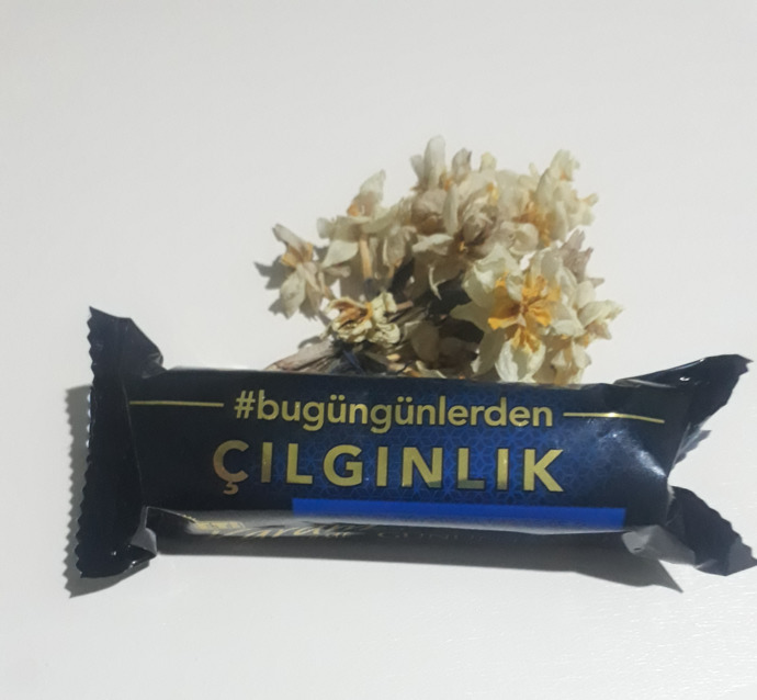 Bugün veya şimdiye kadar yaptığınız en çılgın şey neydi?