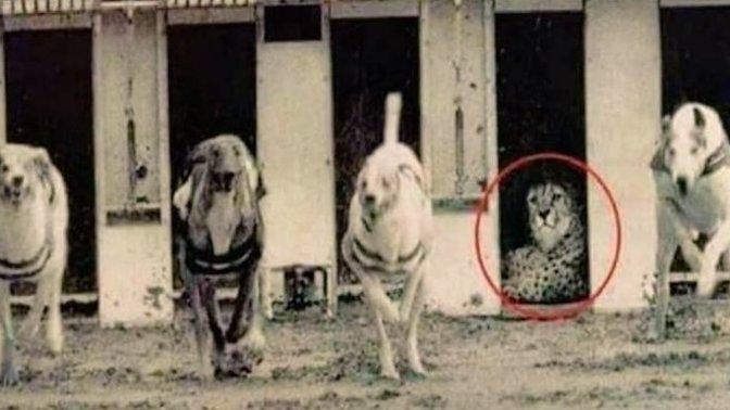 Bu fotoğrafı nasıl yorumlarsanız?