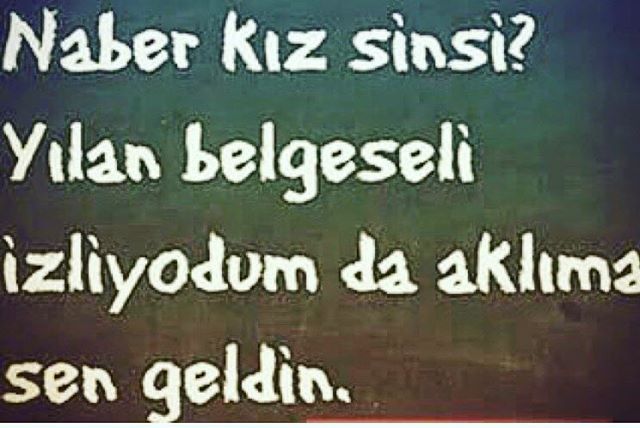 İnsan ablasından nefret eder mi?