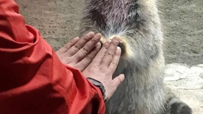 Uzak mesafeli bir ilişkide sevgilinizin size olan özlemini nasıl giderirsiniz?