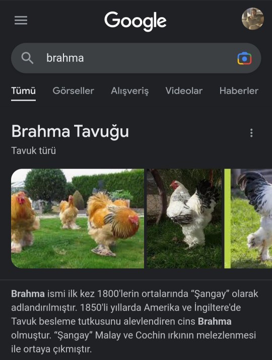 Tarayıcıda en son ne arattın?