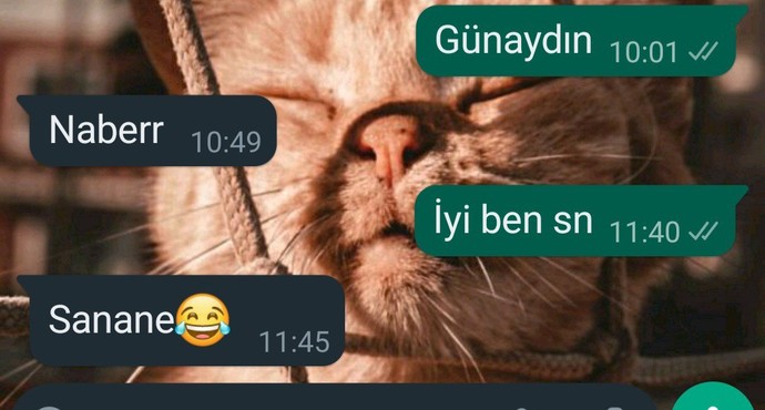 Sizce ne yazabilirim, ayar oldum?