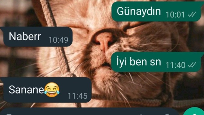 Sizce ne yazabilirim, ayar oldum?