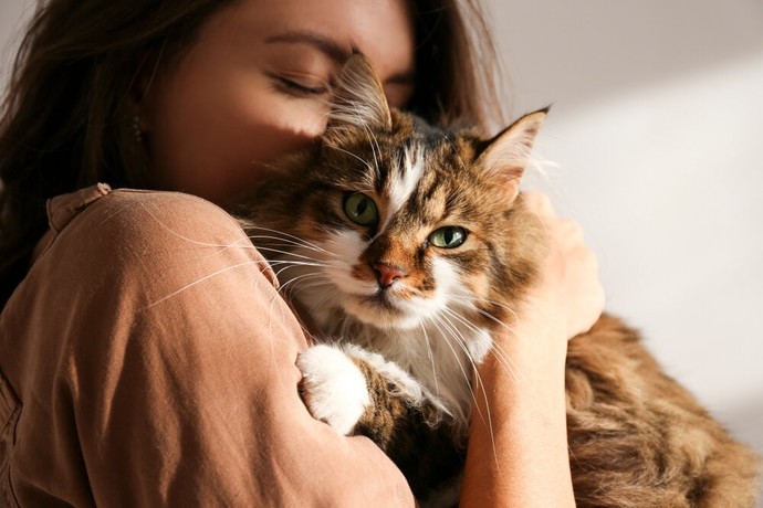 İçinde kedi olan evler daha mı huzurlu olur?