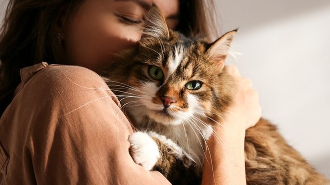 İçinde kedi olan evler daha mı huzurlu olur?