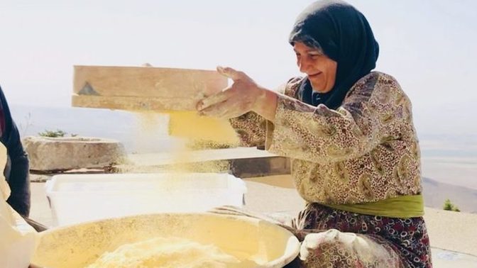 Topraktan Tabağa Kooperatifi, depremzedeler için yemek yapmaya devam ediyor! Destekte bulunmak ister miydiniz?