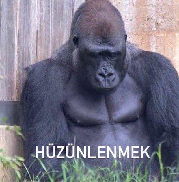 Sevgilim şaka diyerek hep kalbimi kırıyor, ne yapmalıyım?