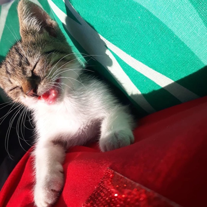 Elinde bi şans olsa hangi ânı değiştirirdin?
