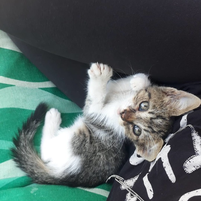 Elinde bi şans olsa hangi ânı değiştirirdin?
