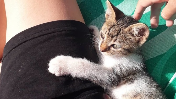 Elinde bi şans olsa hangi ânı değiştirirdin?