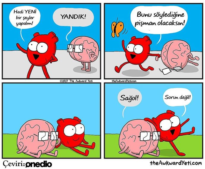 Hadi yine 183737. kararları alalım ve beynimizi buna ikna edelim 😂