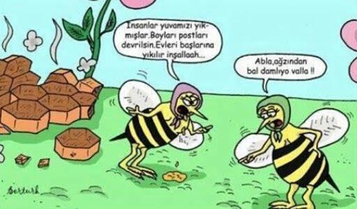 Iıı... O bal, bu bal değil sanki. 😅
