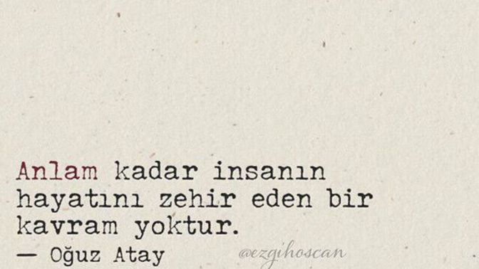 Anlam veremediğimiz şeylere neden bir anlam aramakta ısrar ederiz?