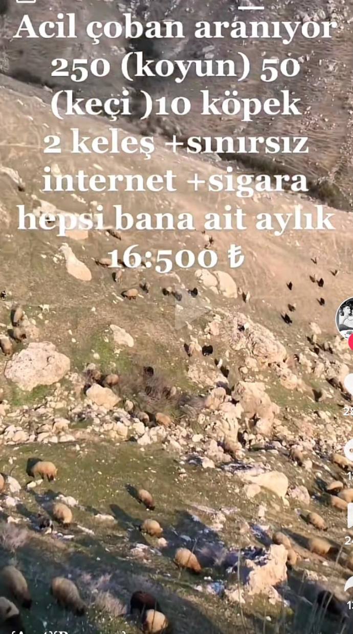 Bu iş şartları güzel mi, çalışmayı kabul eder misiniz?