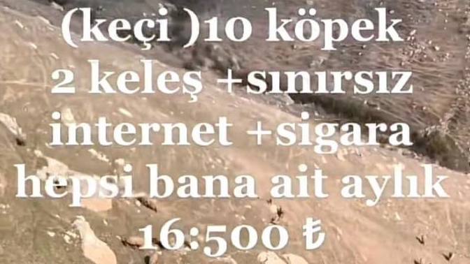 Bu iş şartları güzel mi, çalışmayı kabul eder misiniz?