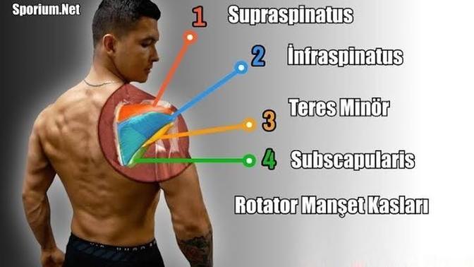 Arka omuz hareketleri için evde hangi sporu tavsiye edersiniz?