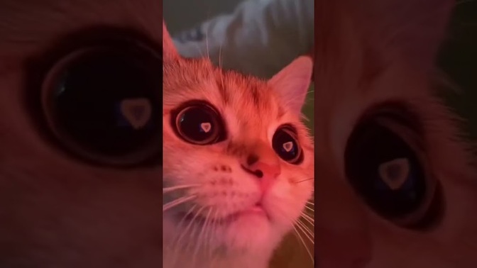 Aynı kişiye tekrardan aşık olmak mümkün müdür?