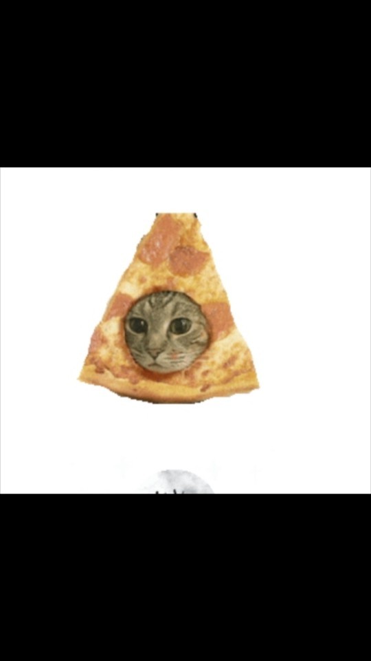 Hiç pizza dilimi olmak istediniz mi?